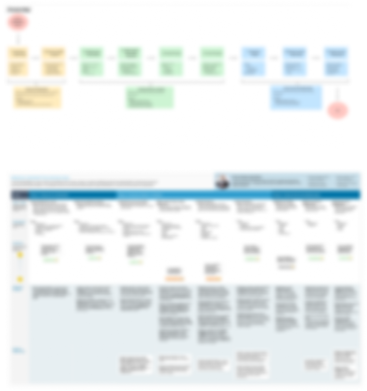 Sales journey map (blurred for confidentiality)